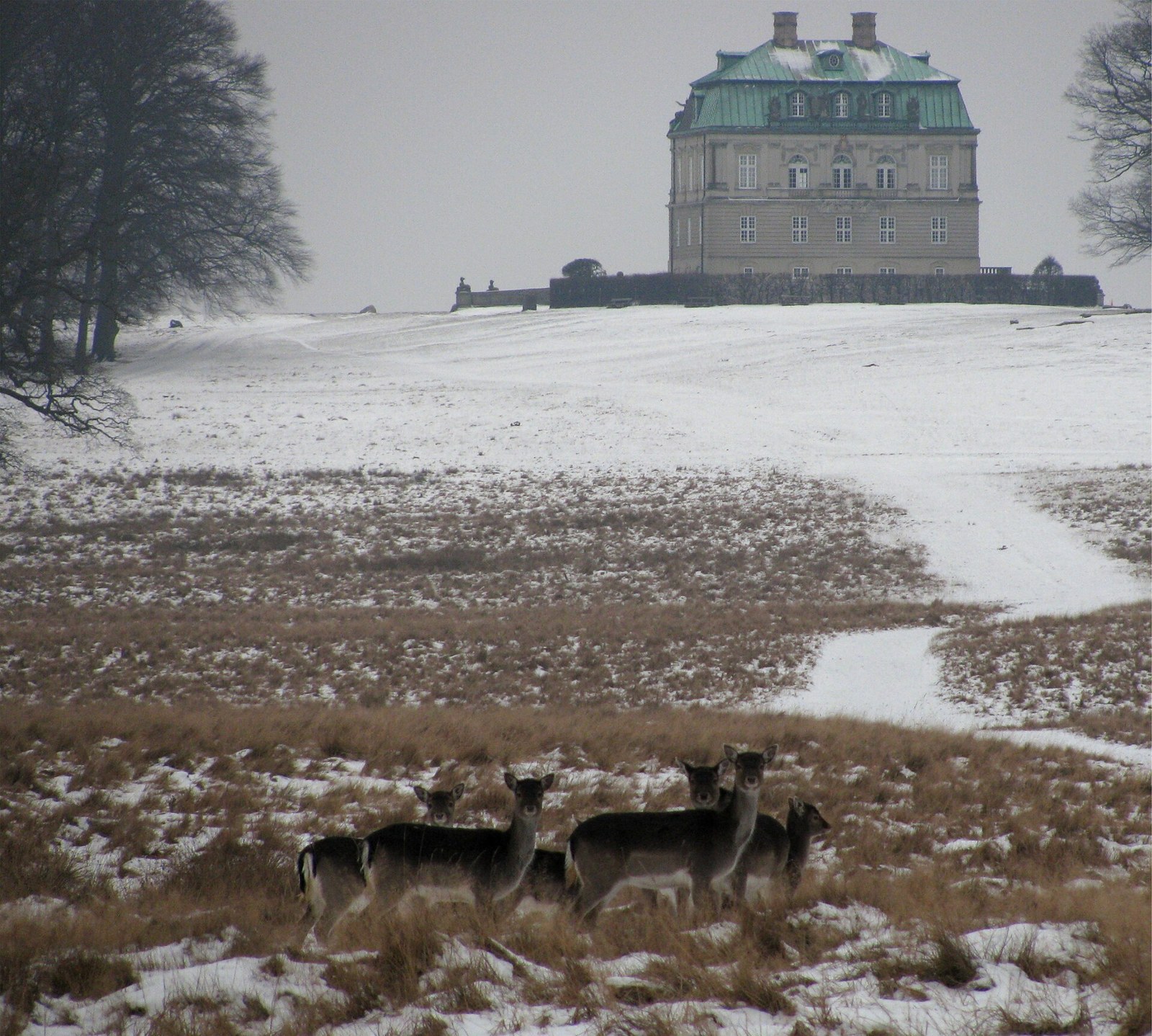 Copenhagen — Jægersborg Dyrehave and Frederiksborg Castle